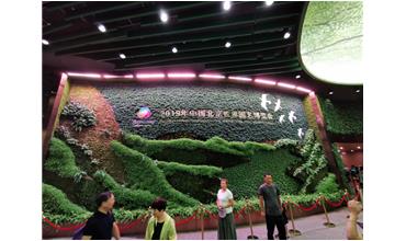 2019北京世園會，我們來啦